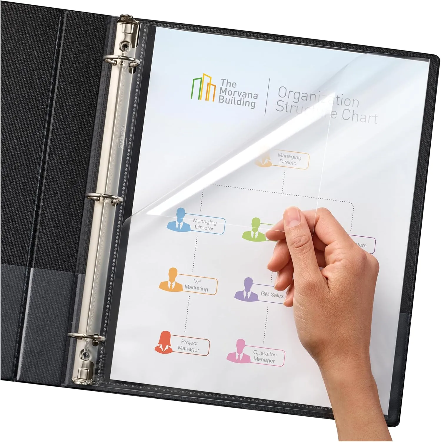 Avery Diamond Clear Quick Load Sheet Protectors, Top & Side Load, 50 Document Protectors (73802) Clear One Size