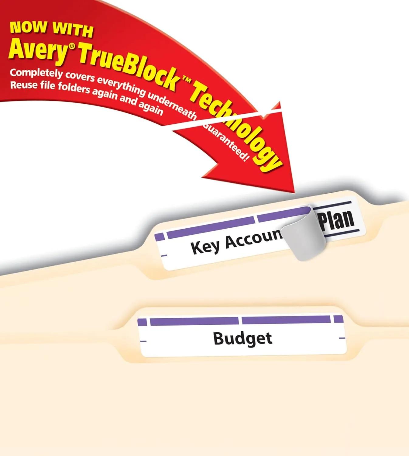 Avery TrueBlock File Folder Labels, 2/3" x 3-7/16", 750 Pack, White/Purple (5666)