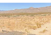 Silence + Solitude On Your Land - Golden Valley Arizona