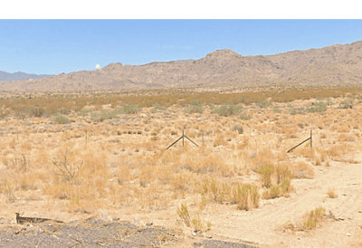 Silence + Solitude On Your Land - Golden Valley Arizona
