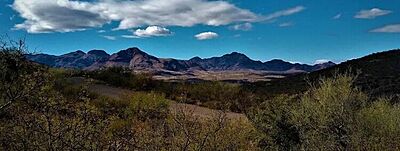 Your Own Desert Oasis Near Tucson - Rio Rico Arizona