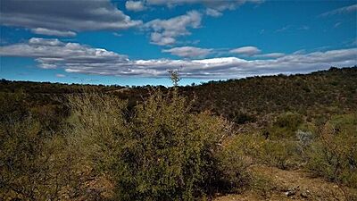 Your Own Desert Oasis Near Tucson - Rio Rico Arizona