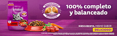Whiskas - Whiskas Whiskas alimento para Gatos Adultos Sabor Carne Receta Orginal 9Kg Violeta Whiskas - Whiskas Whiskas alimento para Gatos Adultos Sabor Carne Receta Orginal 9Kg Violeta
