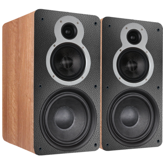 Tonewinner 440W Hi-Fi bookshelf speakers