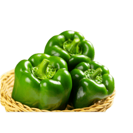 Green Bell Pepper
