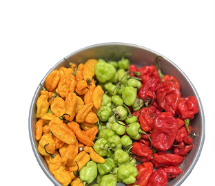 Mixed Habanero Pepper