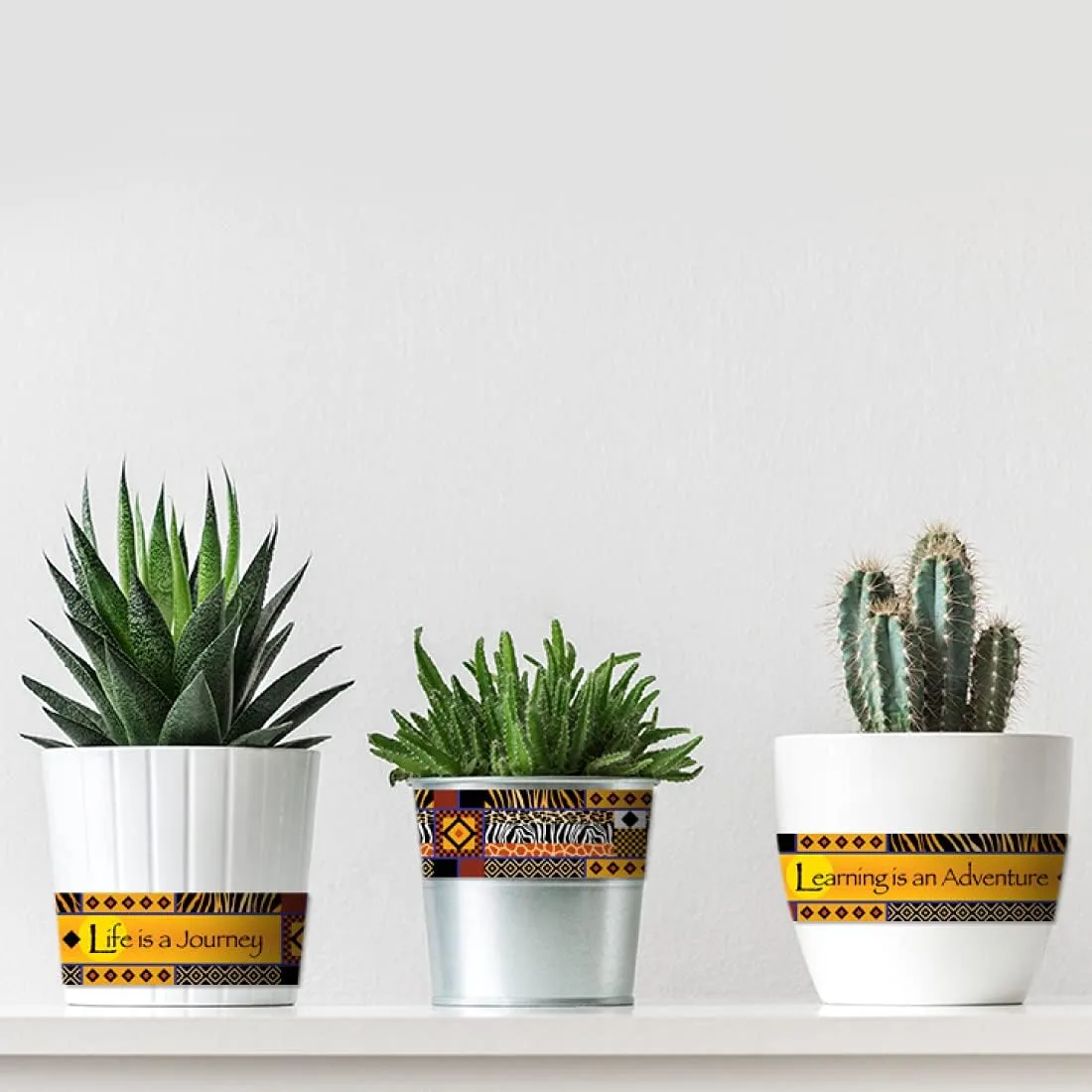 Barker Creek Double-Sided Border, Africa, for Bulletin Boards, Reception Areas, Halls, Break Rooms, Office, School