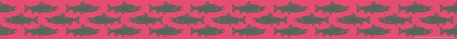 Barker Creek Double-Sided Border, Sea & Sky Salmon, Trim Out Bulletin Boards and Create Colorful Displays with 70' of