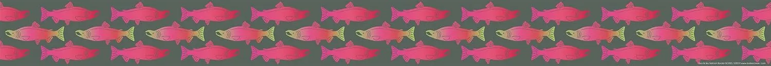 Barker Creek Double-Sided Border, Sea & Sky Salmon, Trim Out Bulletin Boards and Create Colorful Displays with 70' of