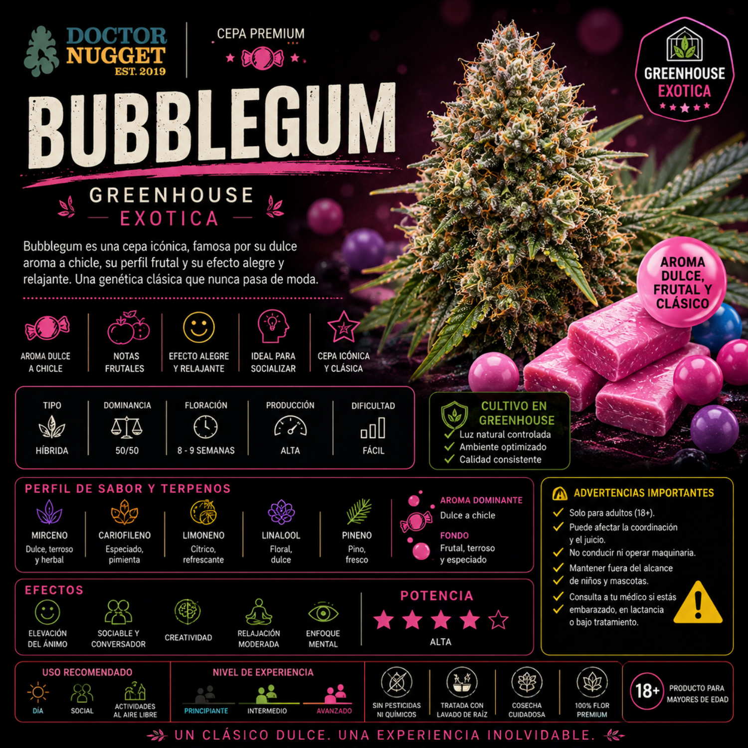 Dr. Nugget Bubblegum THC Flor