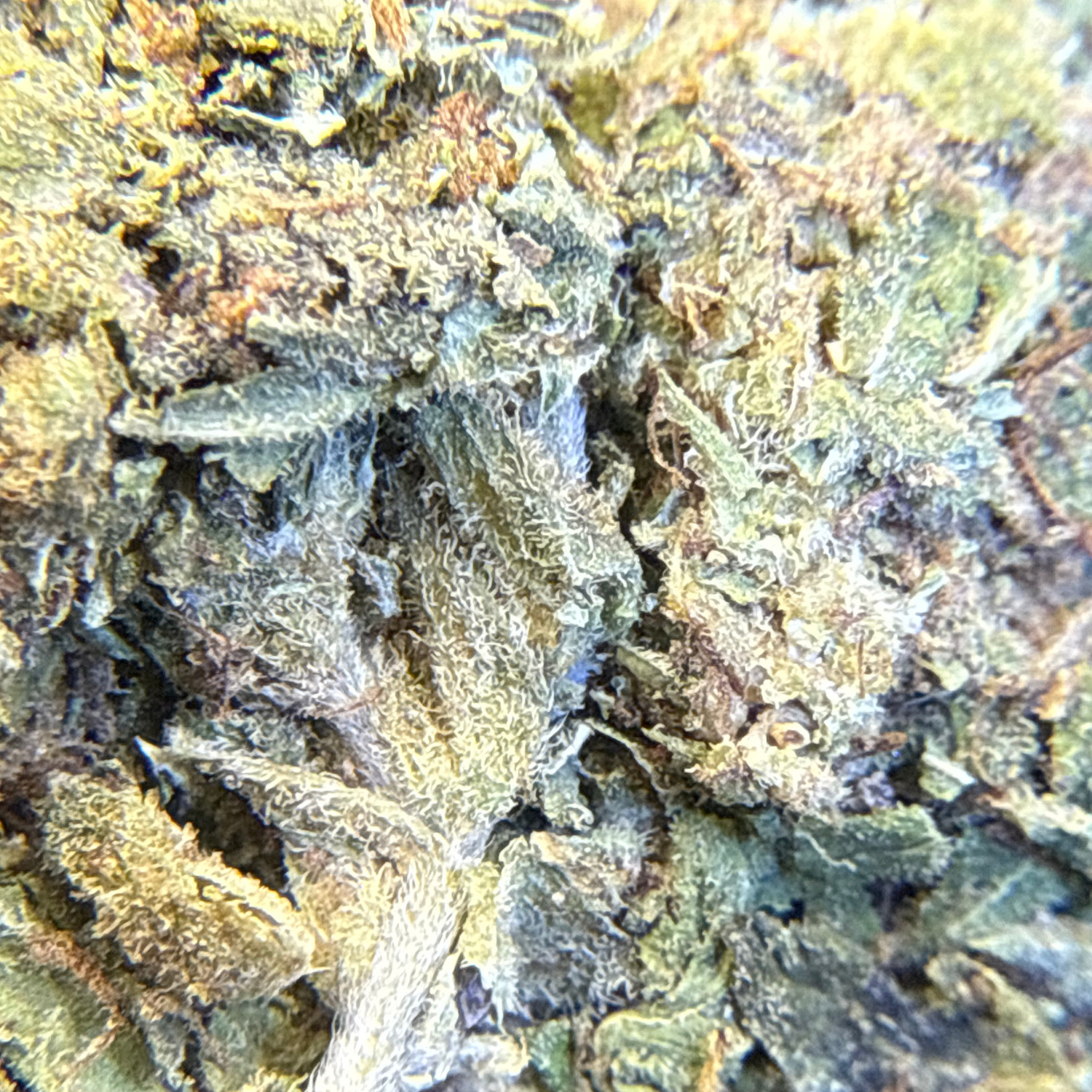 Bubba Kush Exterior