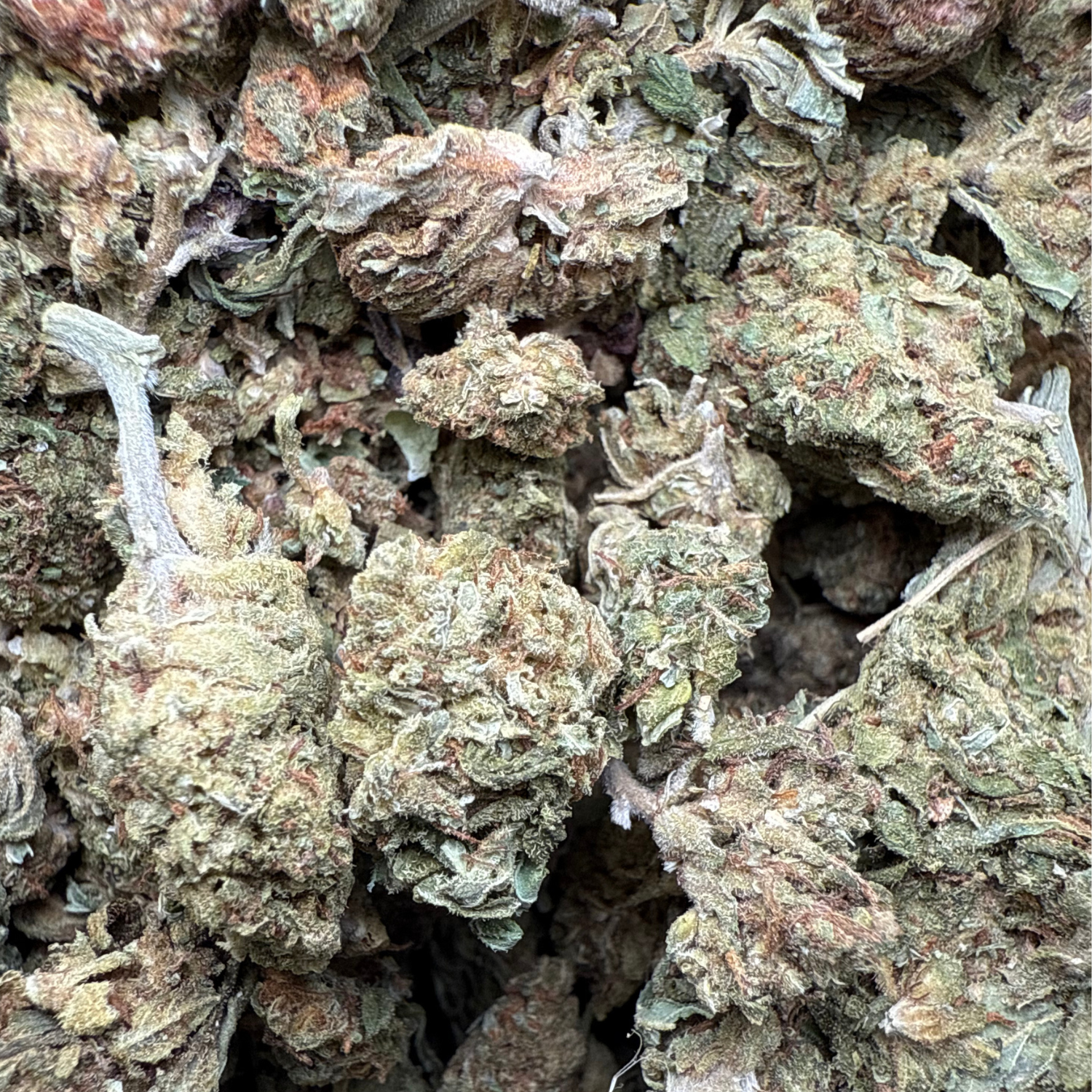 Bubba Kush Exterior