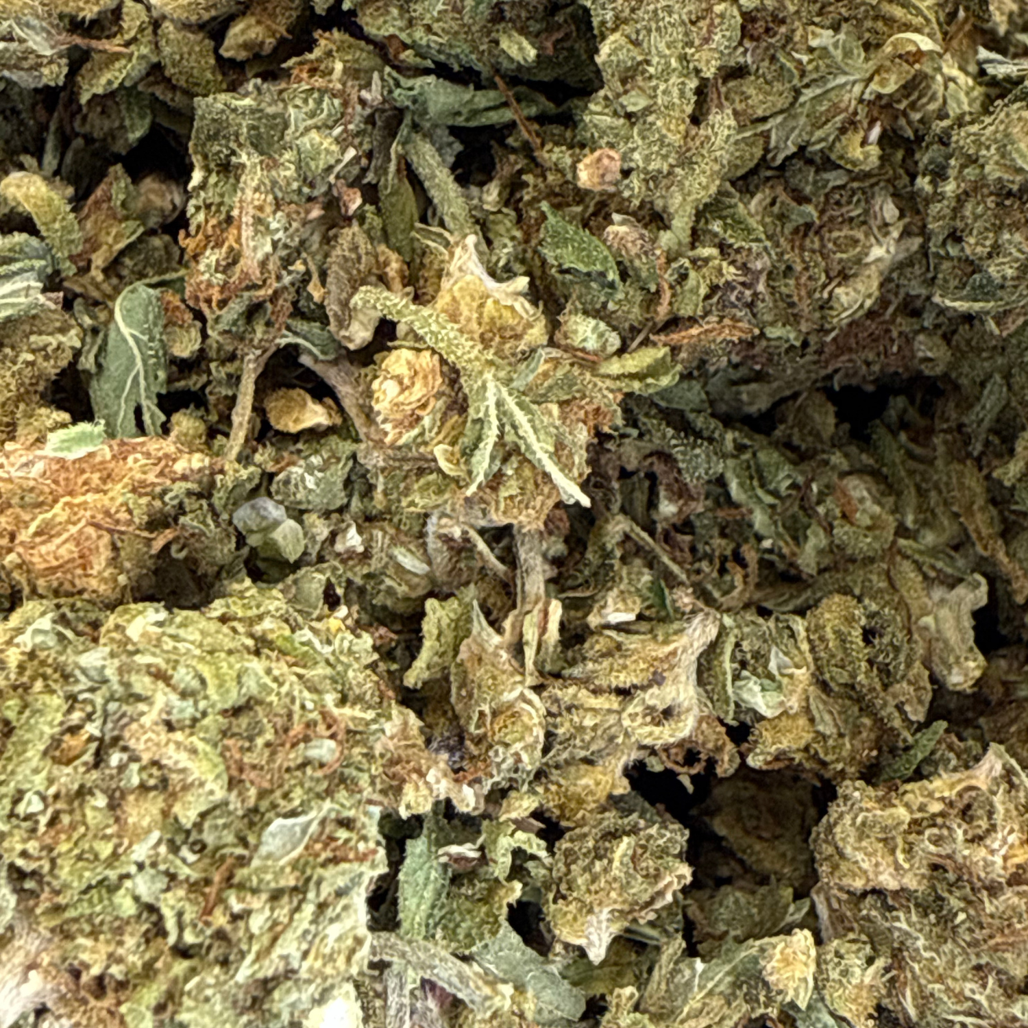 Bubba Kush Exterior