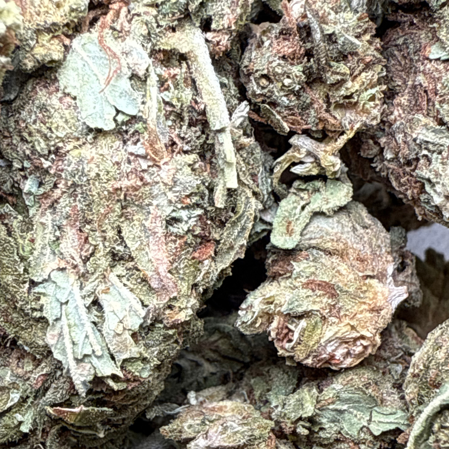 Bubba Kush Exterior