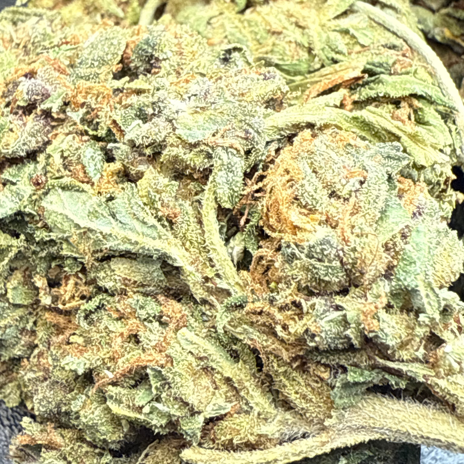 Bubba Kush Exterior