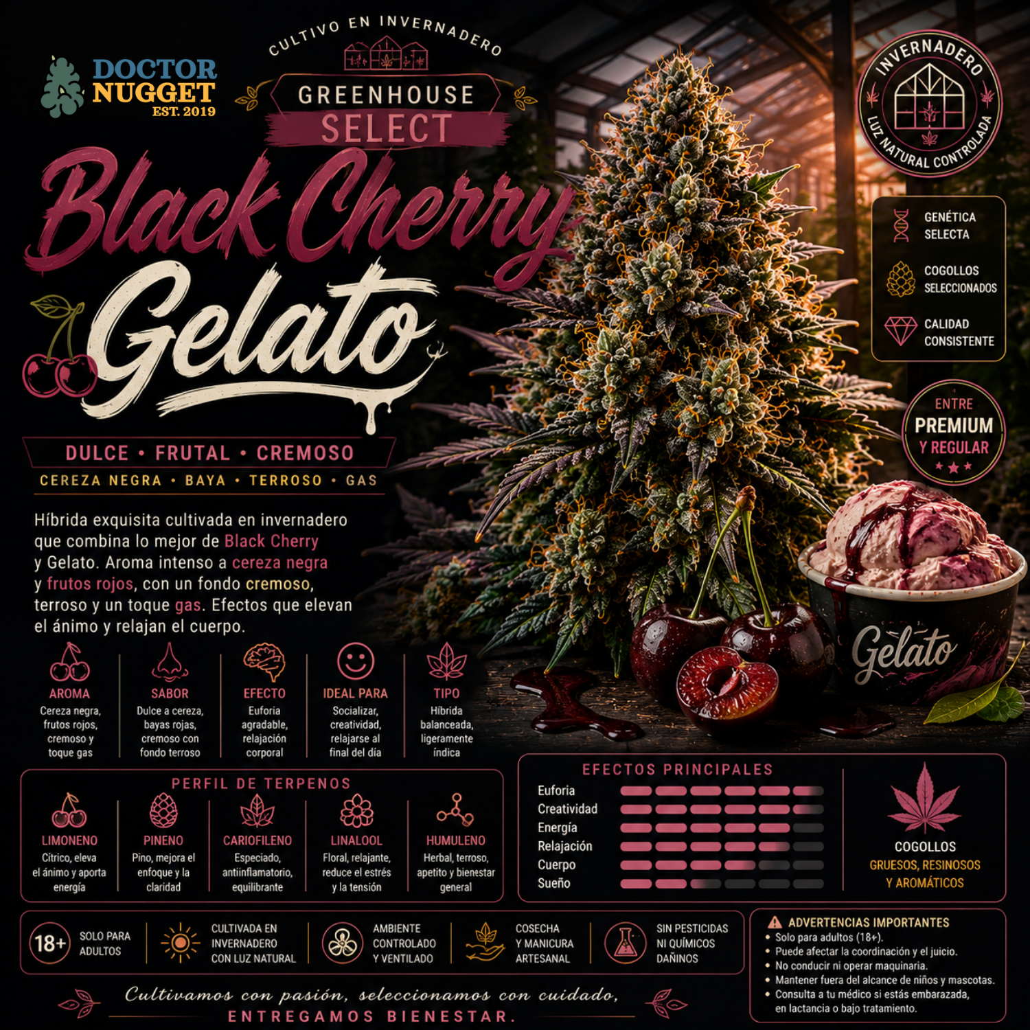 Dr. Nugget Black Cherry Gelato THC Flor