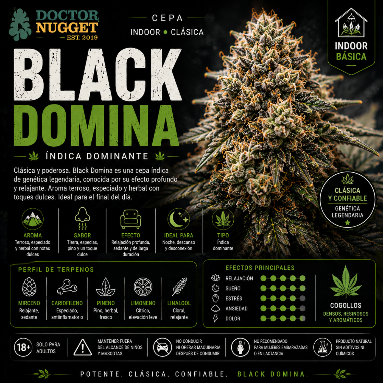Dr. Nugget Black Domina THC Flor