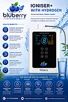 Blubery Ioniser - Premium