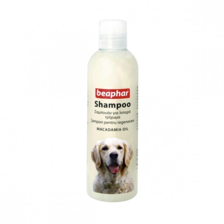 BEAPHAR SHAMPOO MACADAMIA OIL FOR DOGS 250ML BEAPHAR SHAMPOO MACADAMIA OIL FOR DOGS 250ML