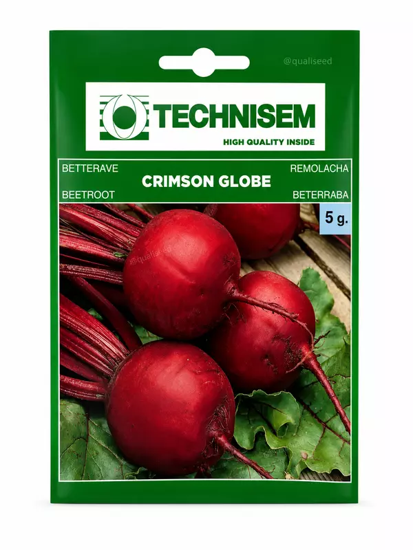 Beetroot - Crimson Globe