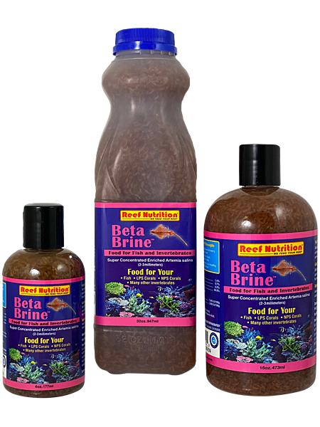 Beta-Brine