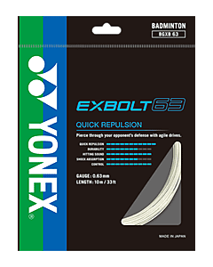 Racket Stringing Service Racket Stringing Service