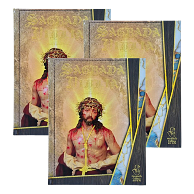 Sagrada Biblia Edición Especial de Arte ( 3 ejemplares)