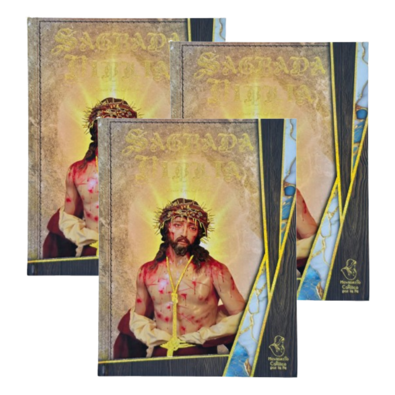 Sagrada Biblia Edición Especial de Arte ( 3 ejemplares)