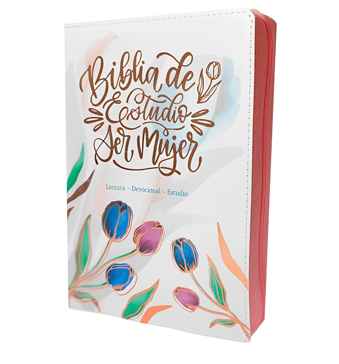 Biblia de Estudio de la Mujer 12 Puntos Modelo 2