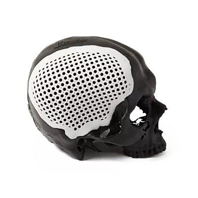 Formlabs BioMed White Resin