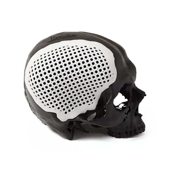 Formlabs BioMed White Resin