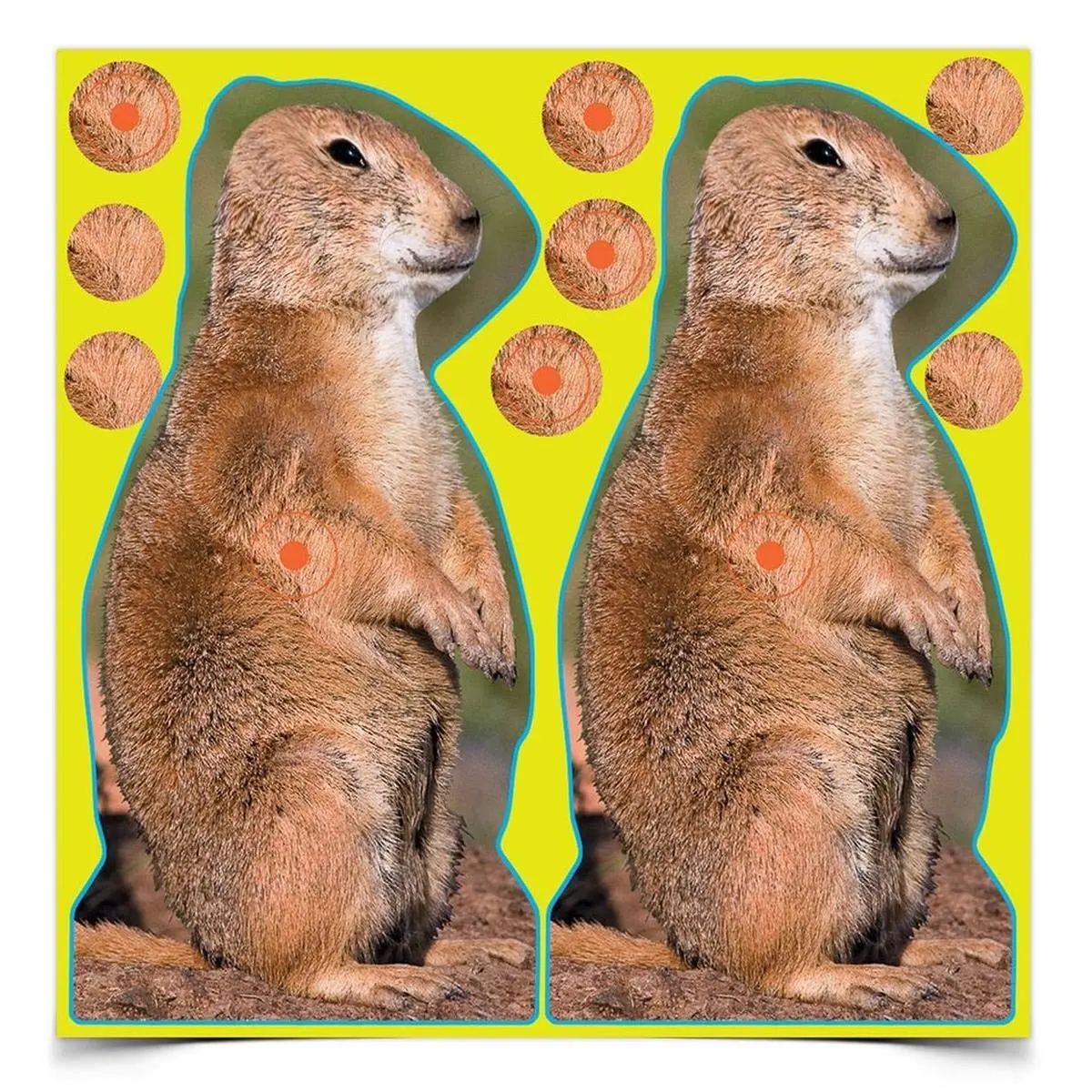 BIRCHWOOD CASEY Shoot-N-C 12" Prairie Chuck Reactive Targets - Highly Visible Instant Feedback Self-Adhesive Shooting Target