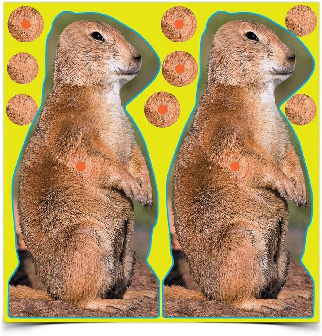 BIRCHWOOD CASEY Shoot-N-C 12" Prairie Chuck Reactive Targets - Highly Visible Instant Feedback Self-Adhesive Shooting Target