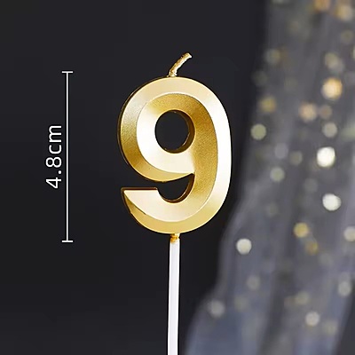 Number - 9 Gold Candle for Birthday or Anniversary Celebration