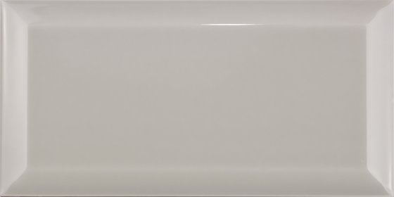 BISELADO GREY MIST 10X20