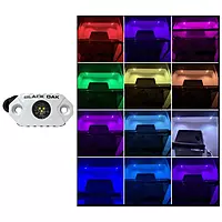 Black Oak Rock Accent Light - RGB - White Housing