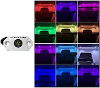 Black Oak Rock Accent Light - RGB - White Housing