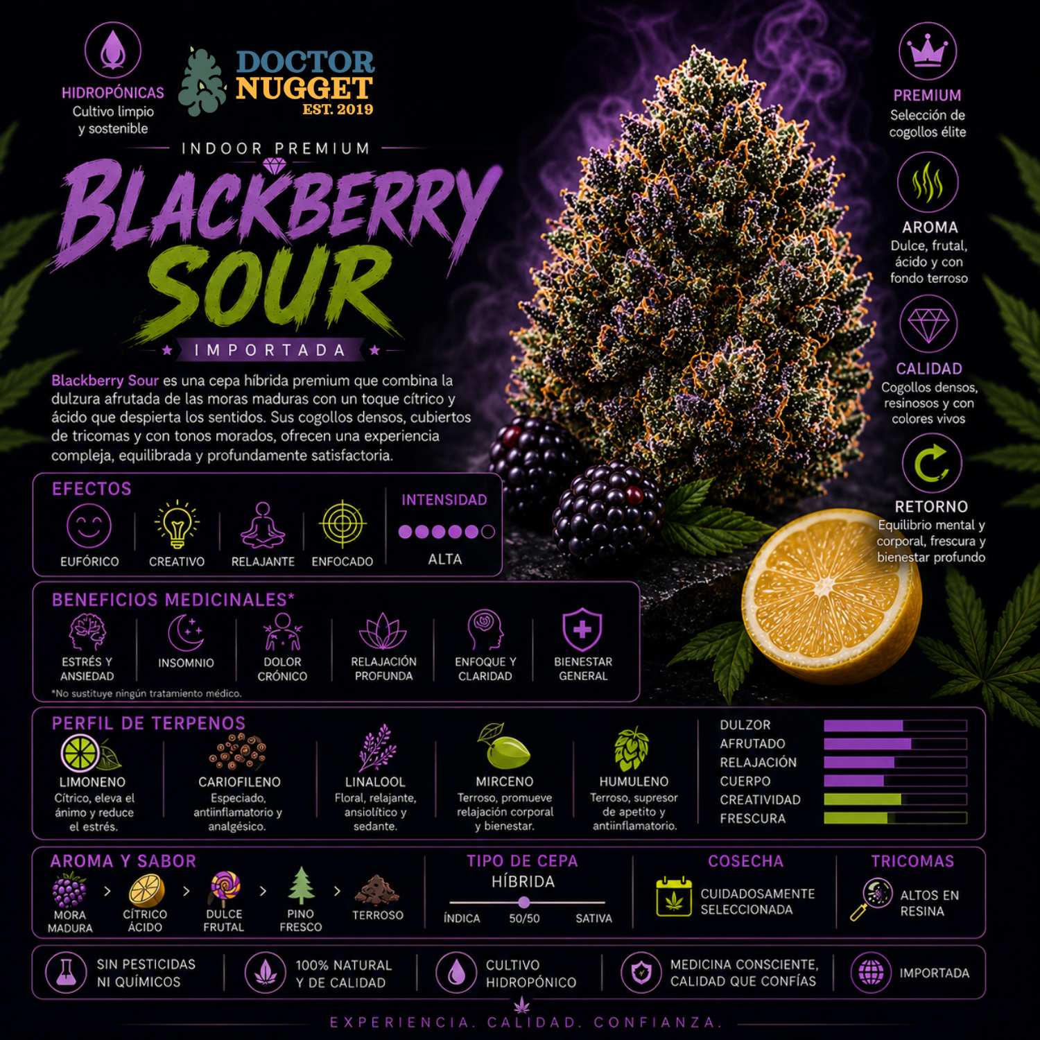 Dr. Nugget Blackberry Sour THC Flor