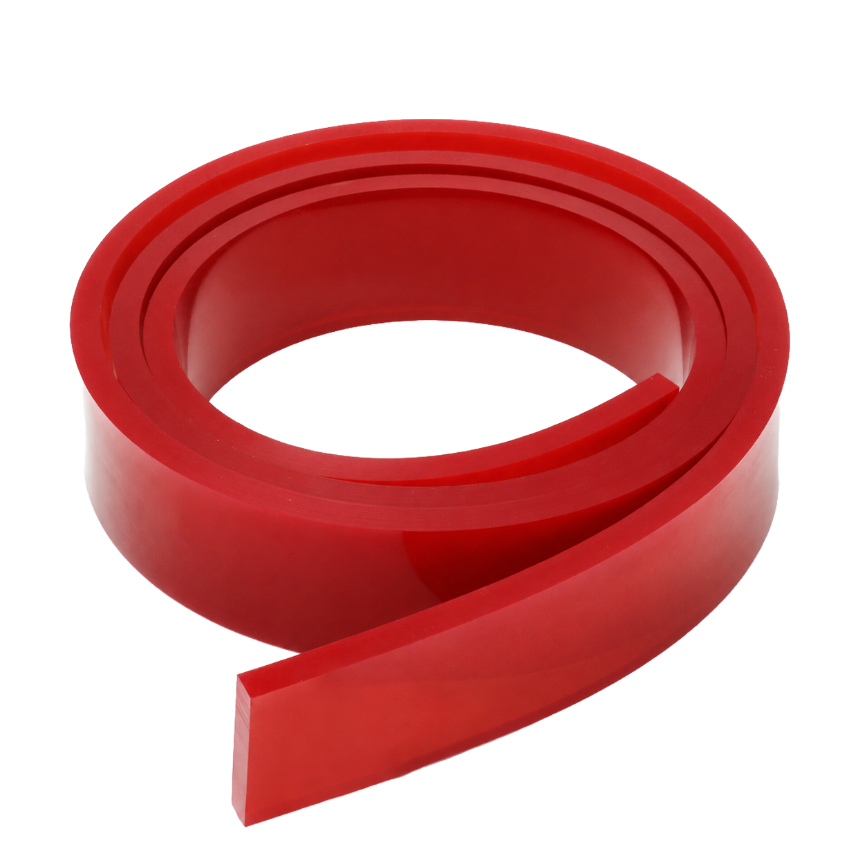 Squeegee Blade - SAATI - Per Inch