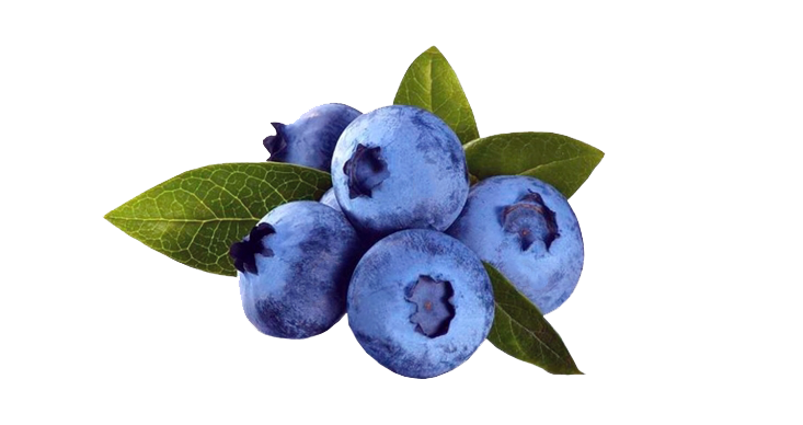 Blueberry