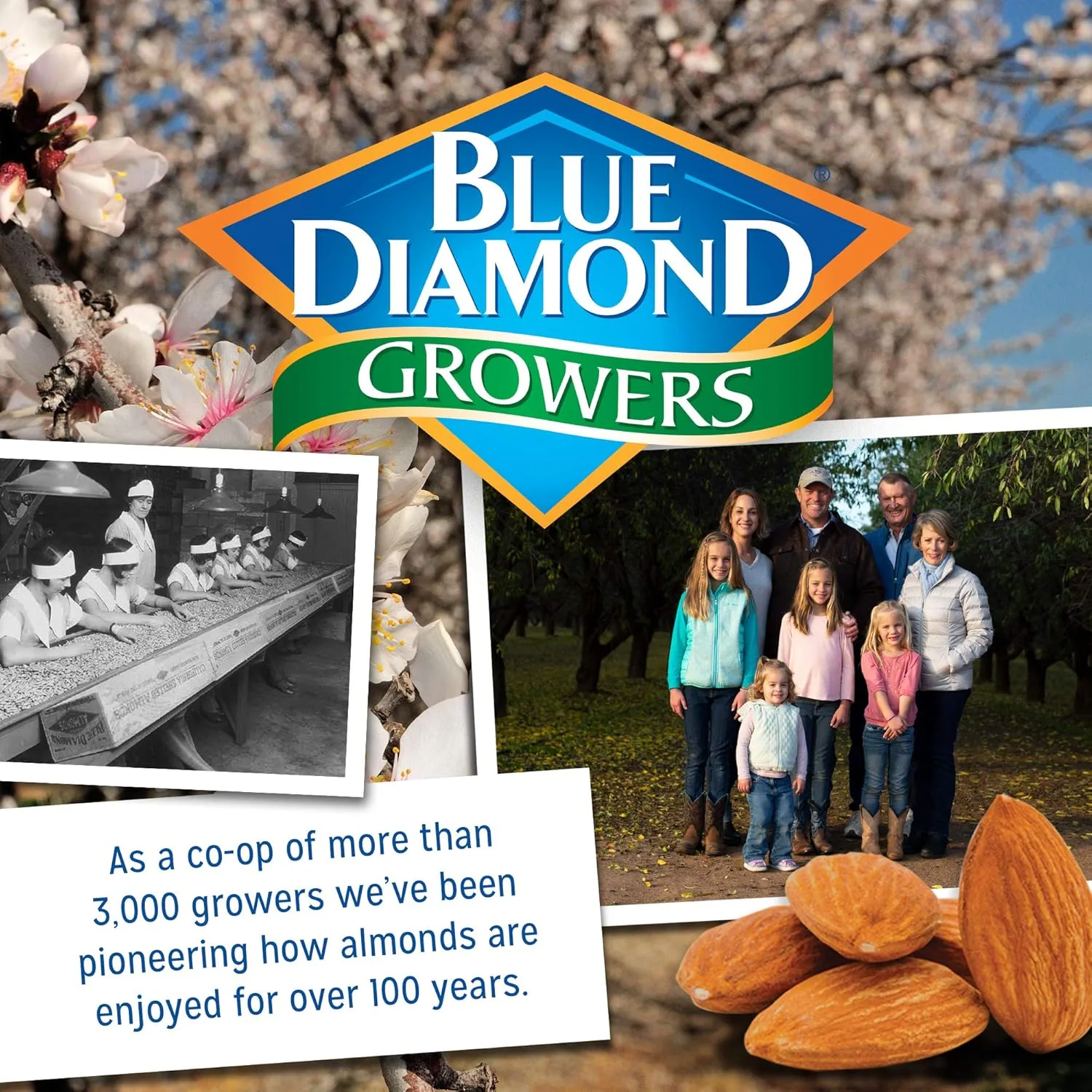 Blue Diamond Almonds Whole Natural Raw Snack Nuts, 100 Calorie Travel Bags, 32 count