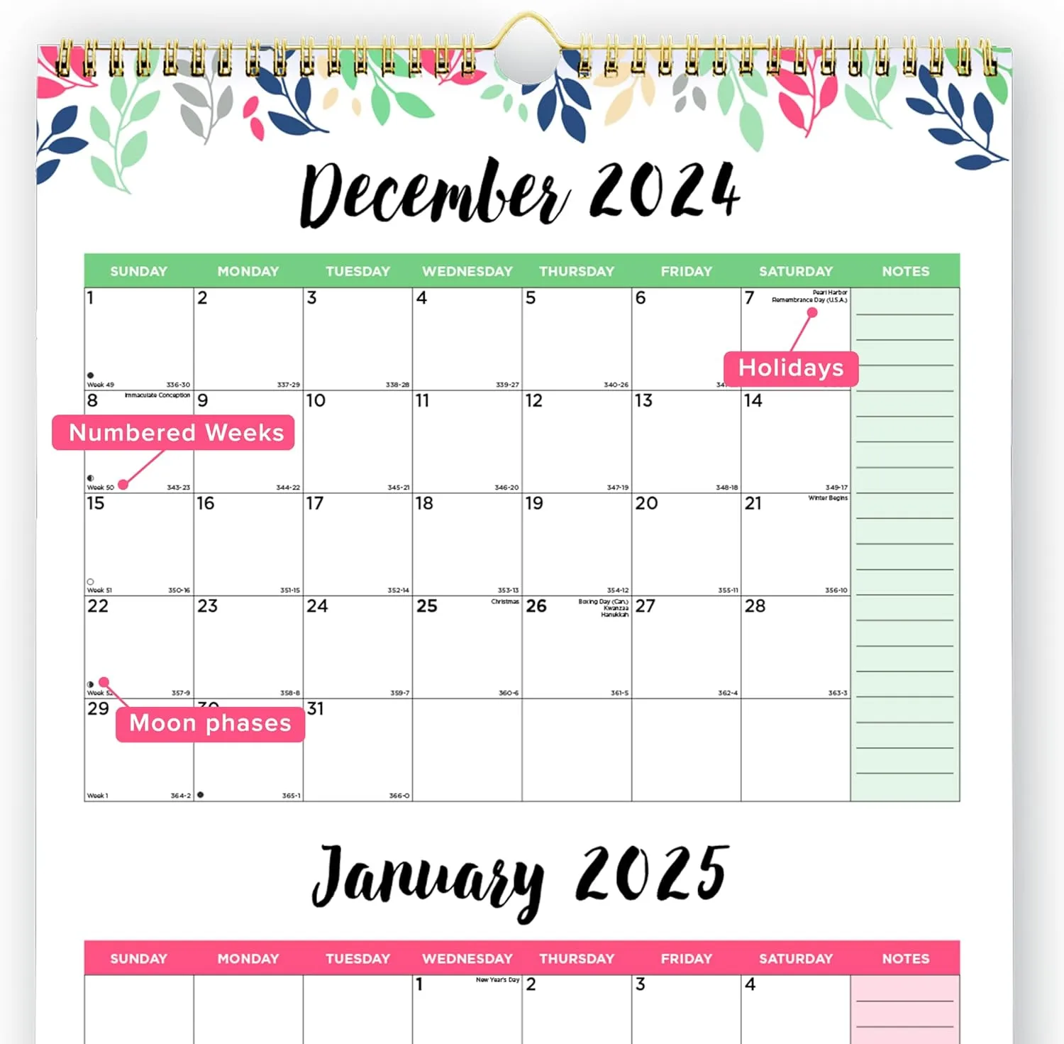 Blueline® 2025 Colorful Three-Month Wall Calendar, 14 Months, Leaves Design (C171129-25)