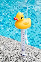 Thermometer Yellow Duck Character | T381YD | PRO POOL PRO
