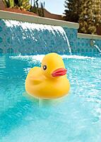 Thermometer Yellow Duck Character | T381YD | PRO POOL PRO