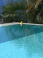 Thermometer Yellow Duck Character | T381YD | PRO POOL PRO