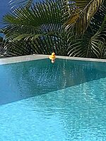 Thermometer Yellow Duck Character | T381YD | PRO POOL PRO