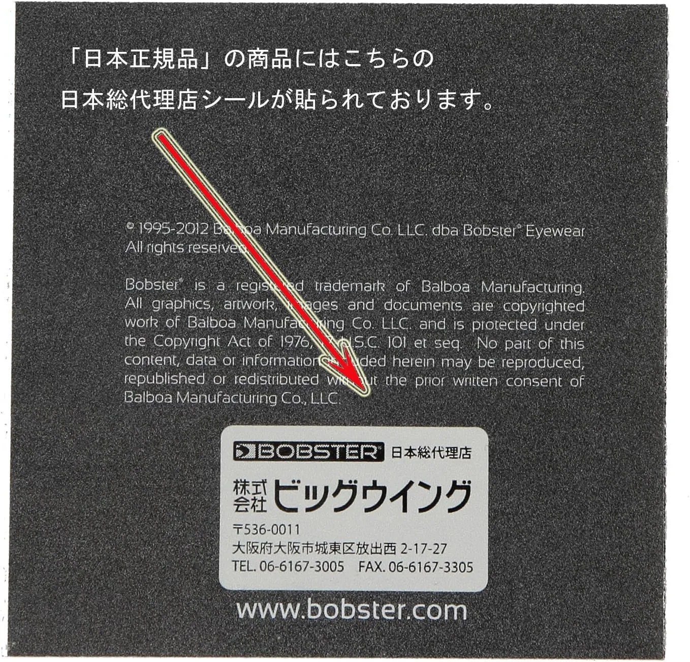 Bobster SS-SMS-4014120 Rukus, Black Frame/Smoke Lens, one size