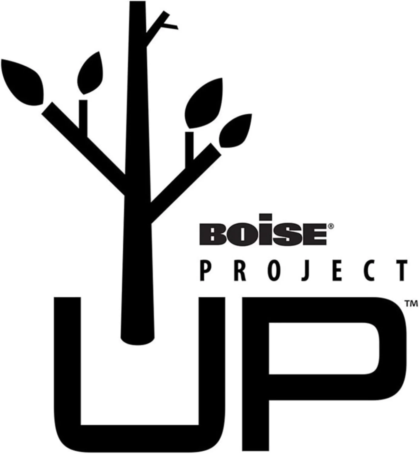 Boise ASPEN 30 Multi-Use Copy Paper, Ledger 11 x 17, 5 Reams (2500 Sheets) - 054907-CTN