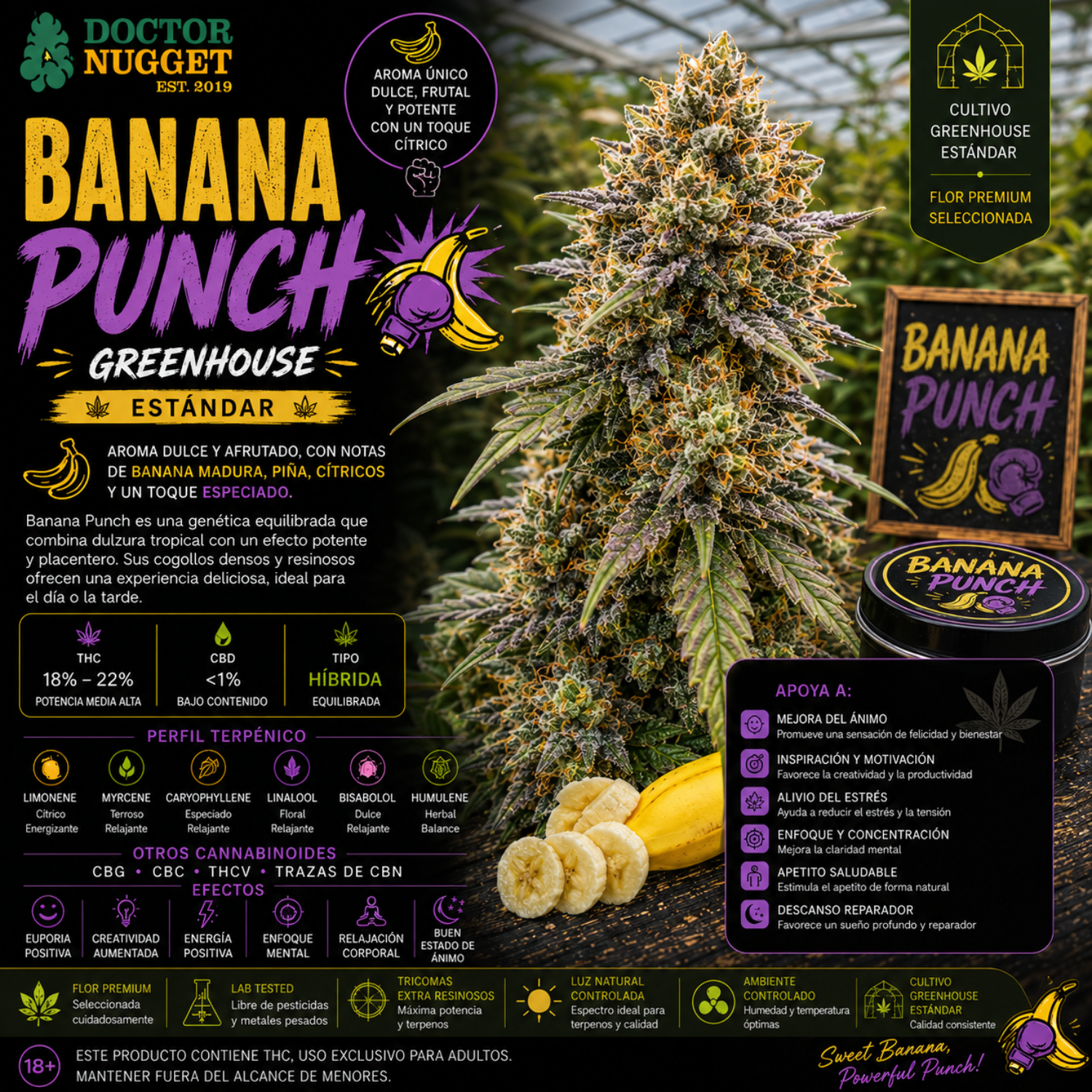Dr. Nugget Banana Punch THC Flor