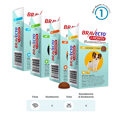 BRAVECTO 1-MONTH Chew for Dogs